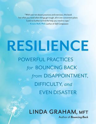 Download Resilience: Powerful Practices for Bouncing Back from Disappointment, Difficulty, and Even Disaster - Linda Graham file in PDF