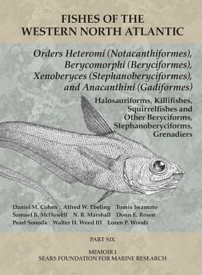 Read Orders Heteromi (Notacanthiformes), Berycomorphi (Beryciformes), Xenoberyces (Stephanoberyciformes), Anacanthini (Gadiformes): Part 6 - Daniel M. Cohen | ePub